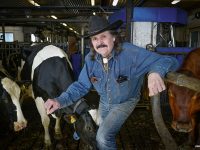 Anders trivs att jobba med olika typer av djur, stora som små.