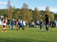 Den 30 maj är det meningen att en ”Corona-anpassad” Kvartersen ska starta.