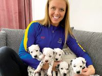 I sin lägenhet har Fanny Gradin just nu åtta dalmatiner att hålla reda på. Valparna är snart till salu.