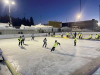 Pondhockey spelas på utomhusrink enligt amerikansk modell. Lagen består av fem personer varav tre är samtidigt på banan och matchen spelas i en period på 15 minuter. Sargen är låg och det finns inga målvakter.